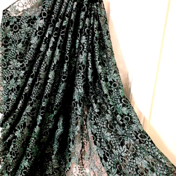 Dark Green Lace on Black Net Pre-Pleated Saree - Picture 4 of 4